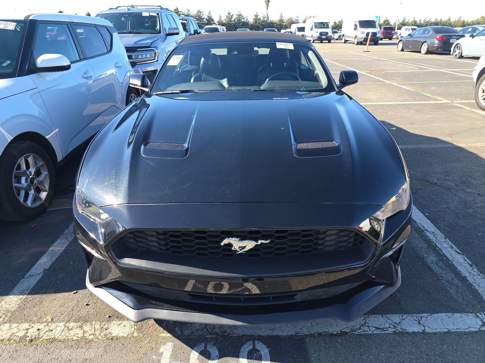 2023 Ford Mustang EcoBoost Premium RWD