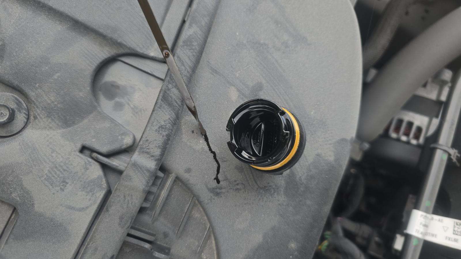 2025 Ford Escape ST-Line FWD