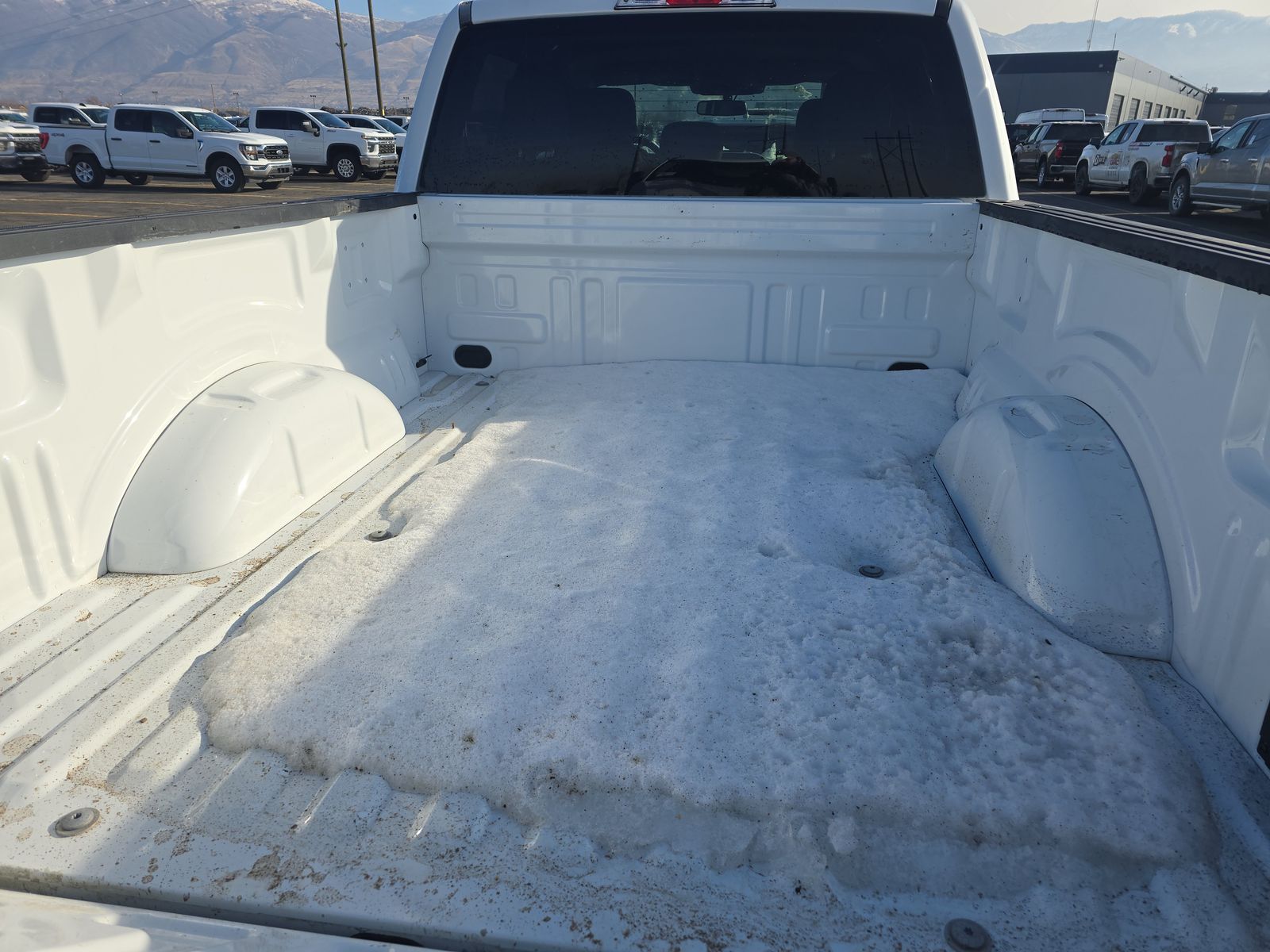 2024 Ford F-150 XLT AWD