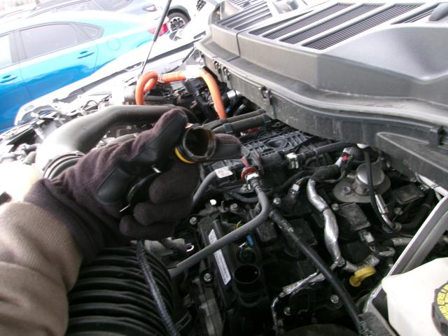 2024 Ford F-150 Hybrid XLT AWD