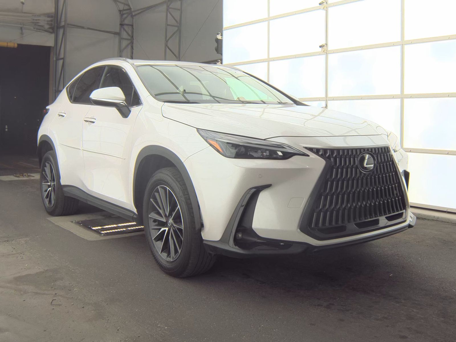 2025 Lexus NX NX 250 Premium FWD