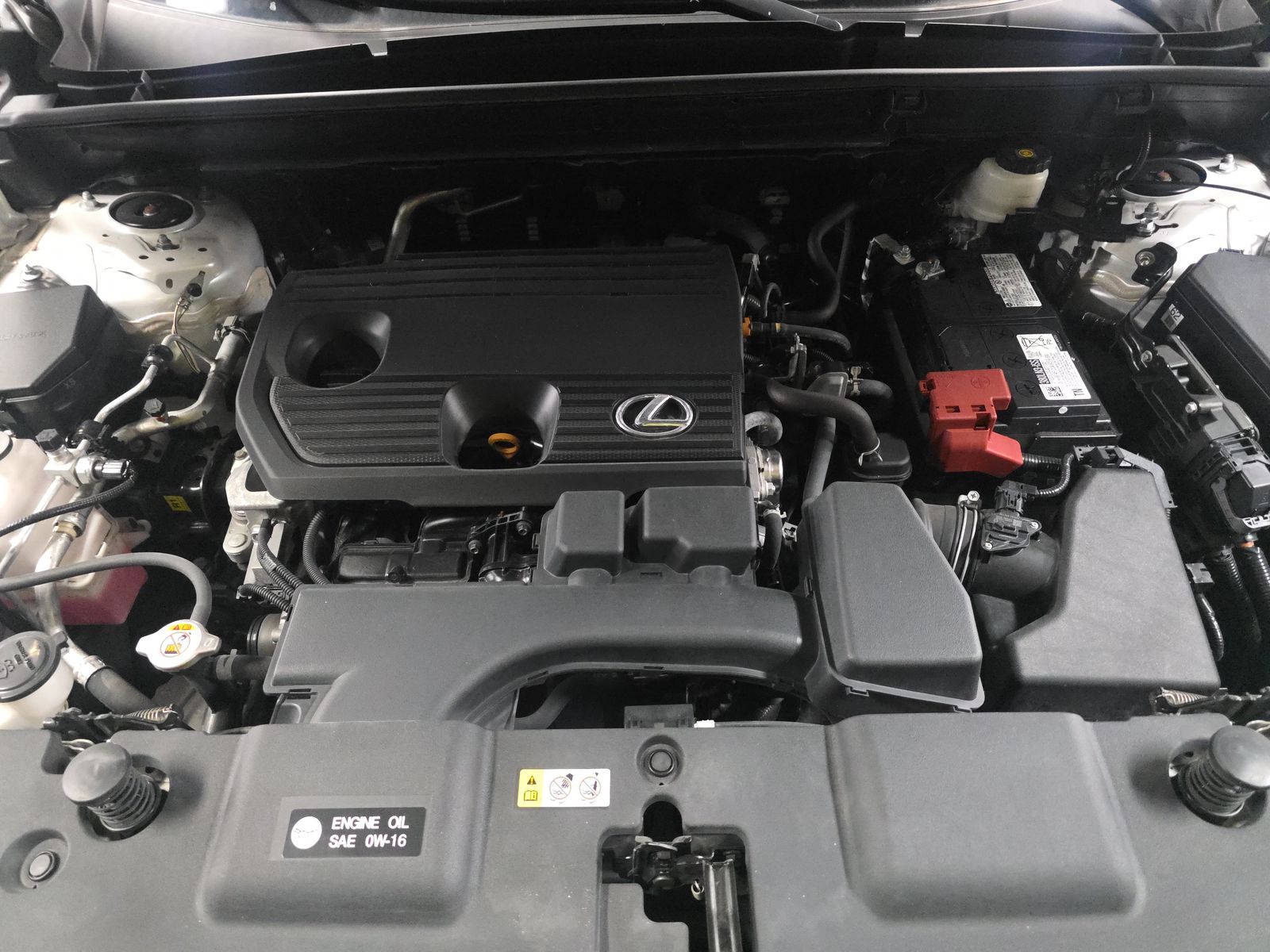 2025 Lexus NX NX 250 Premium FWD