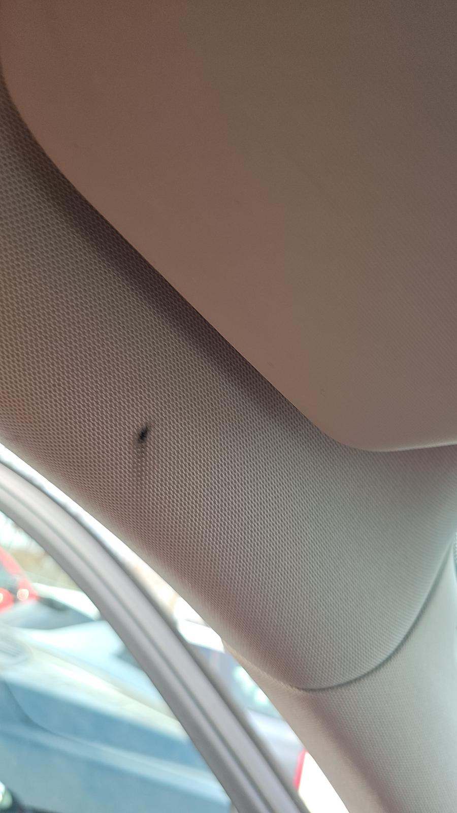 2020 Mercedes-Benz GLE GLE 350 AWD