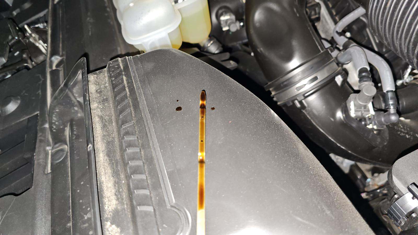 2025 Ford F-150 XLT AWD