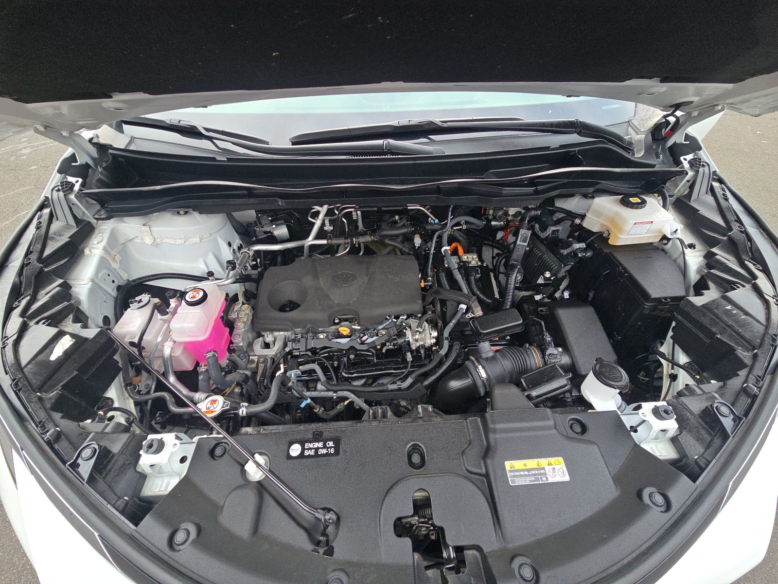 2023 Toyota Sienna XLE FWD