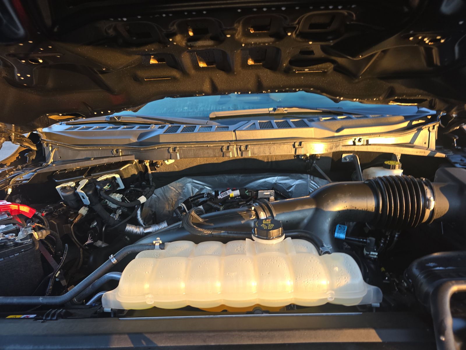 2024 Ford F-150 STX RWD