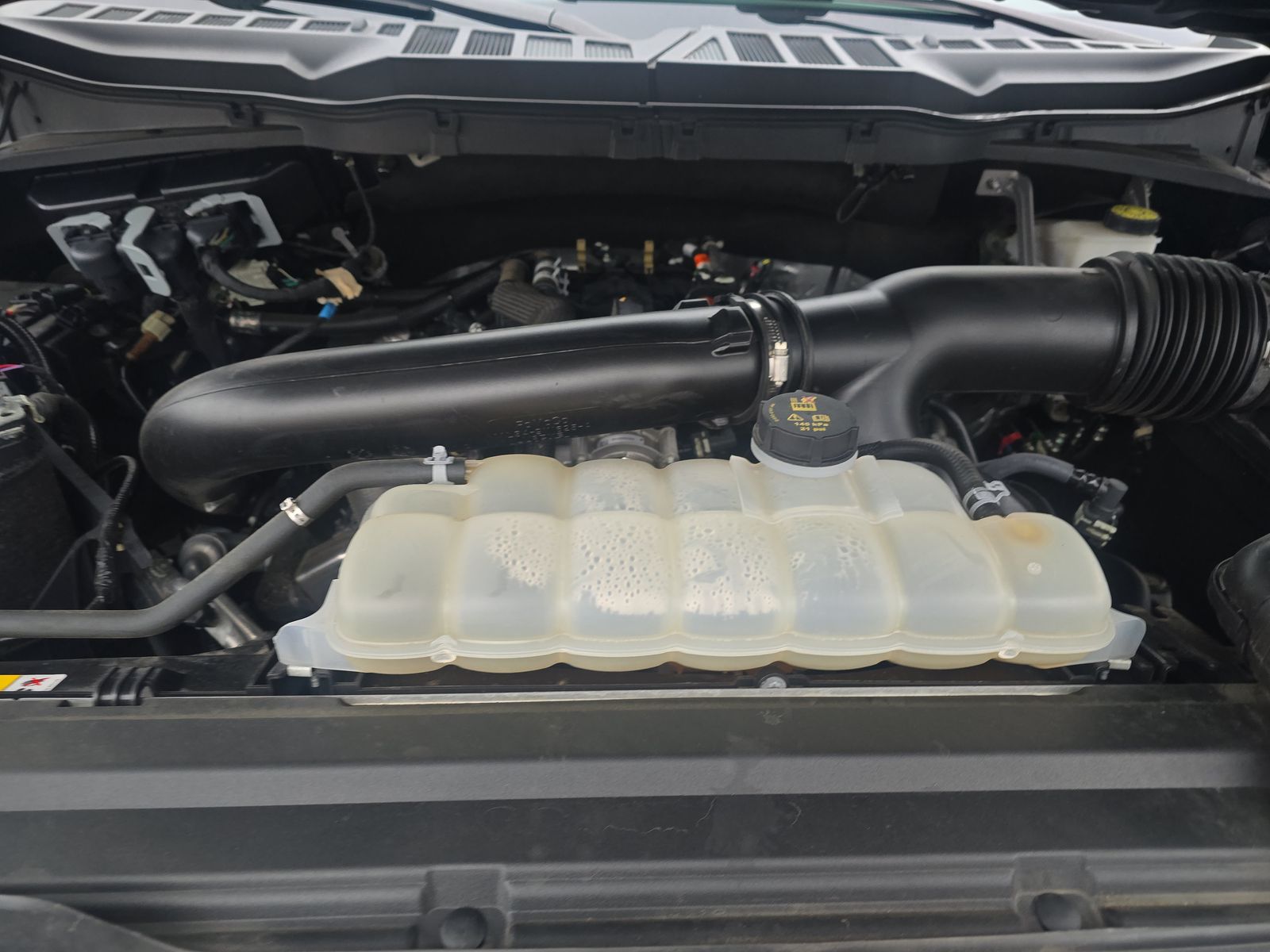 2024 Ford F-150 XLT RWD