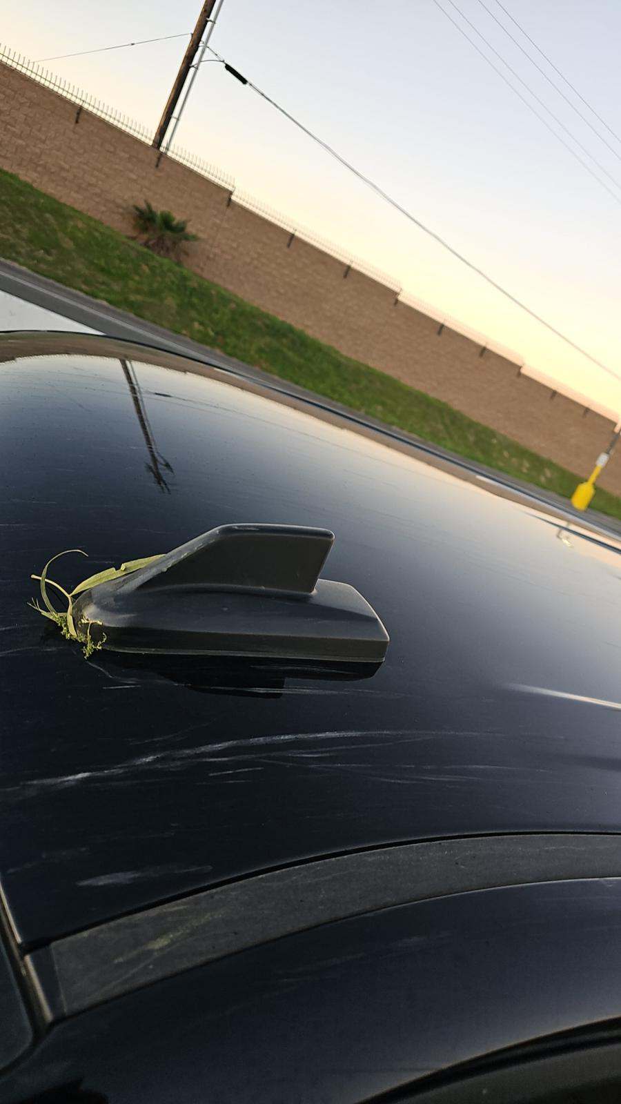 2024 Chevrolet Silverado 1500 LT AWD