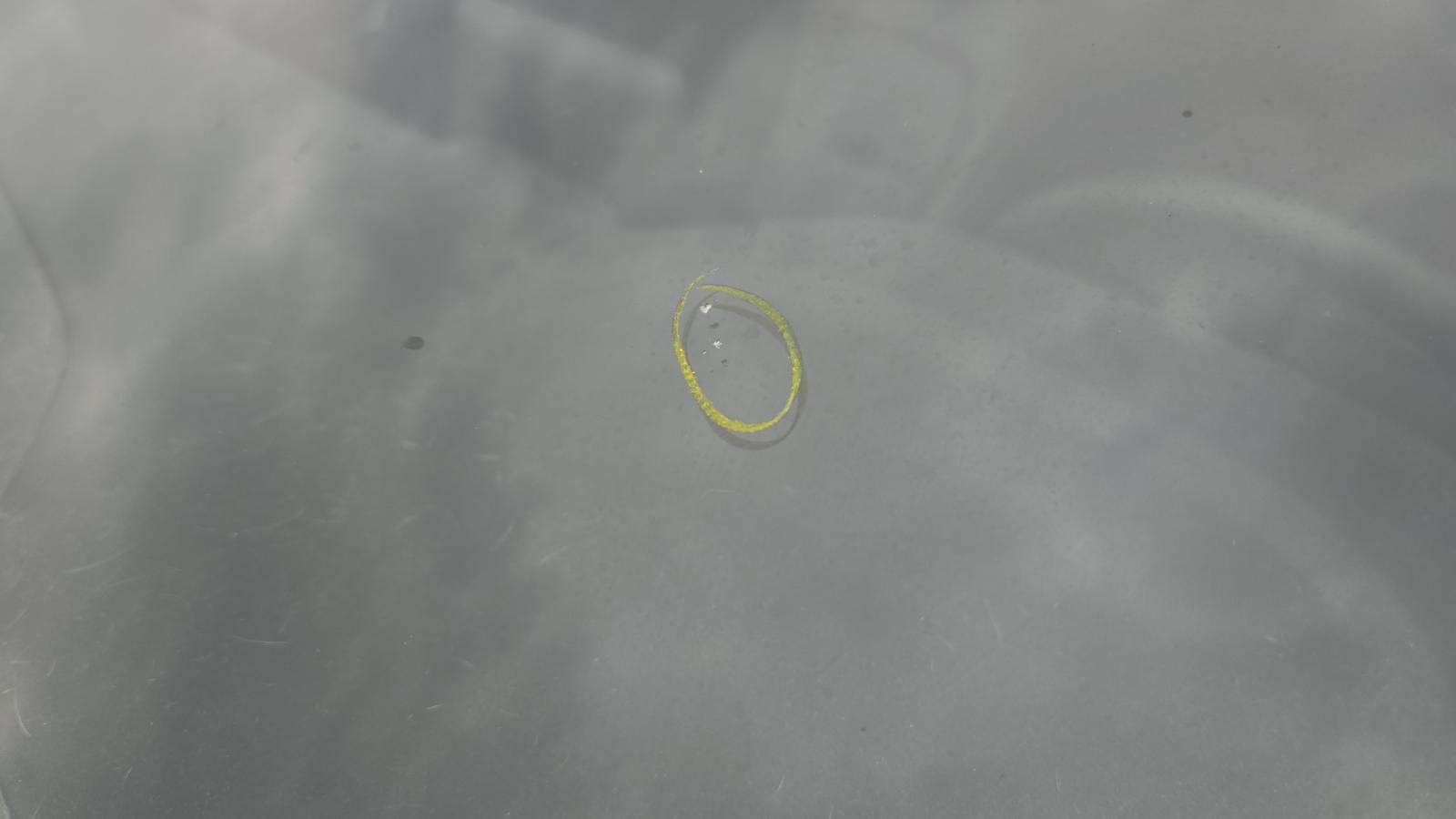 2022 Ford Escape SEL AWD