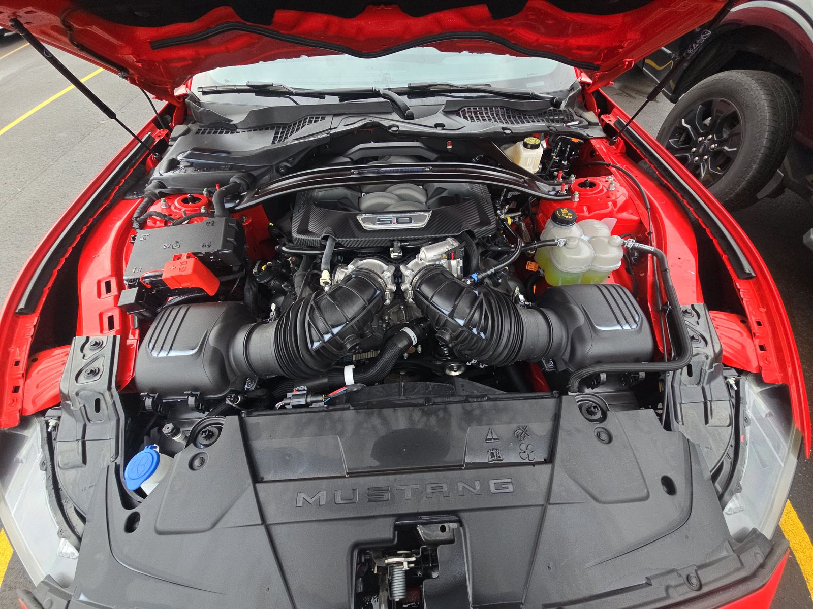 2024 Ford Mustang Dark Horse RWD