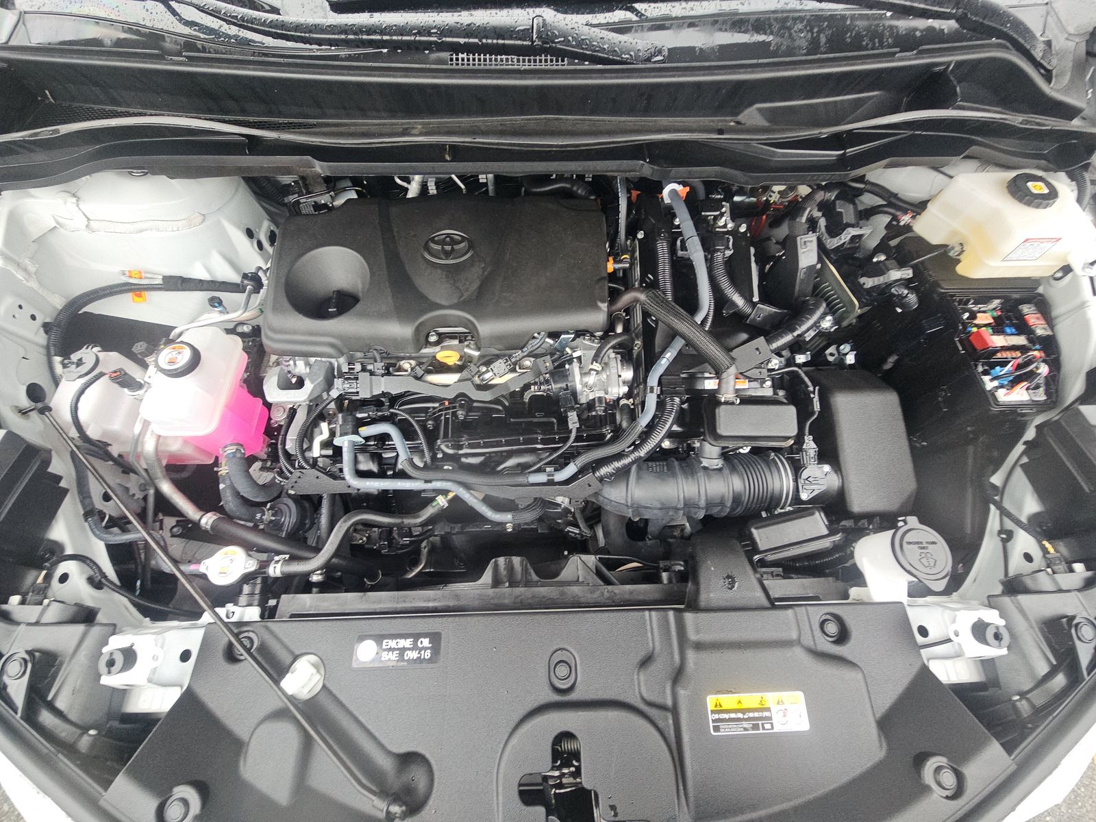 2025 Toyota Sienna XLE FWD