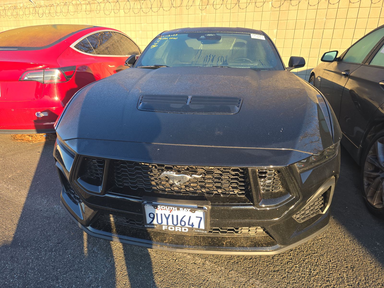 2025 Ford Mustang GT RWD