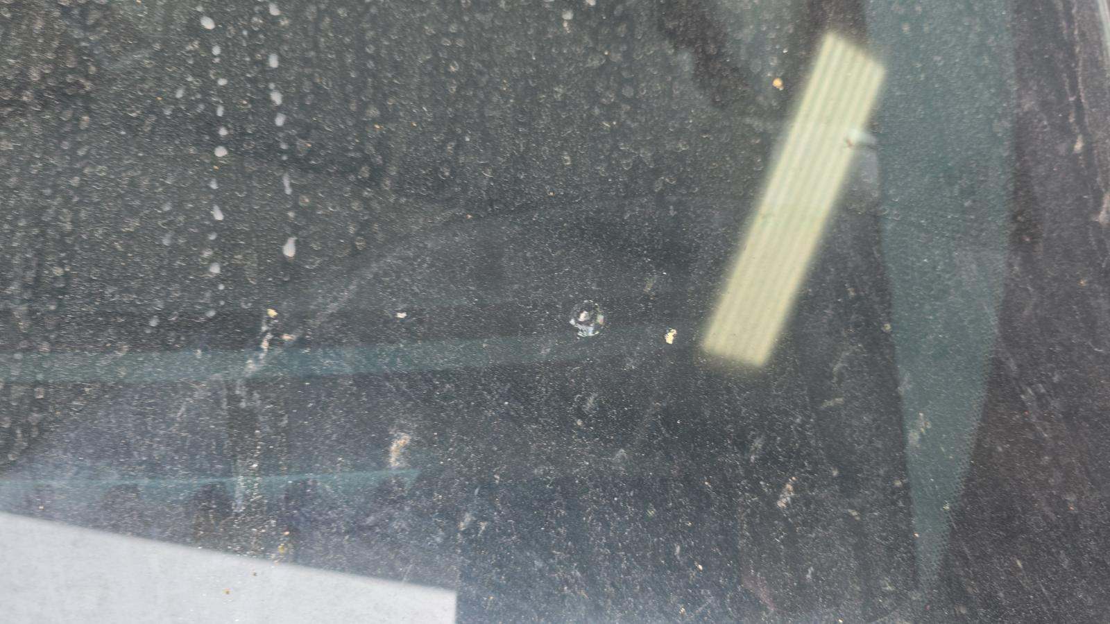 2023 Ford F-150 XLT RWD