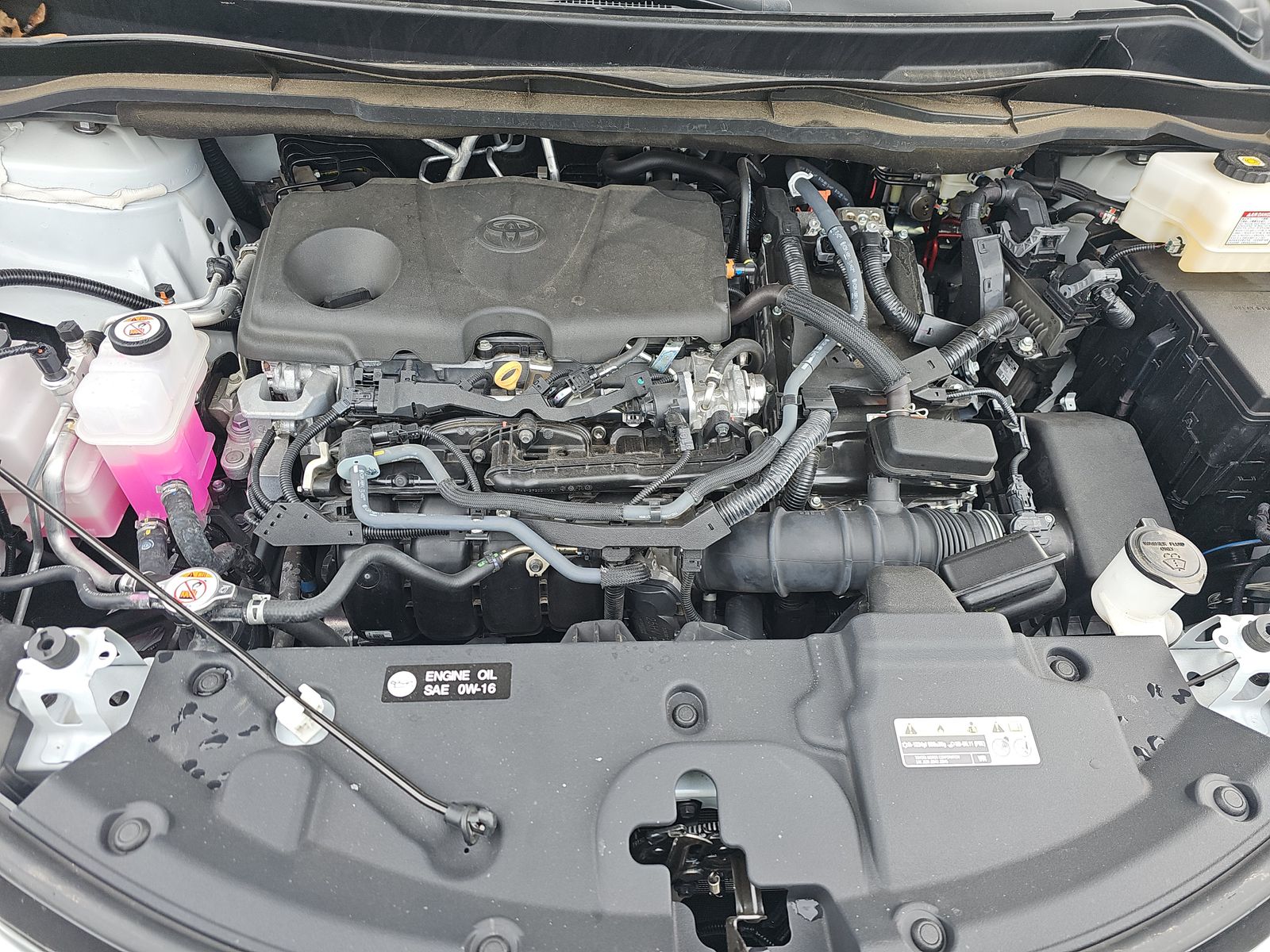 2024 Toyota Sienna Limited FWD