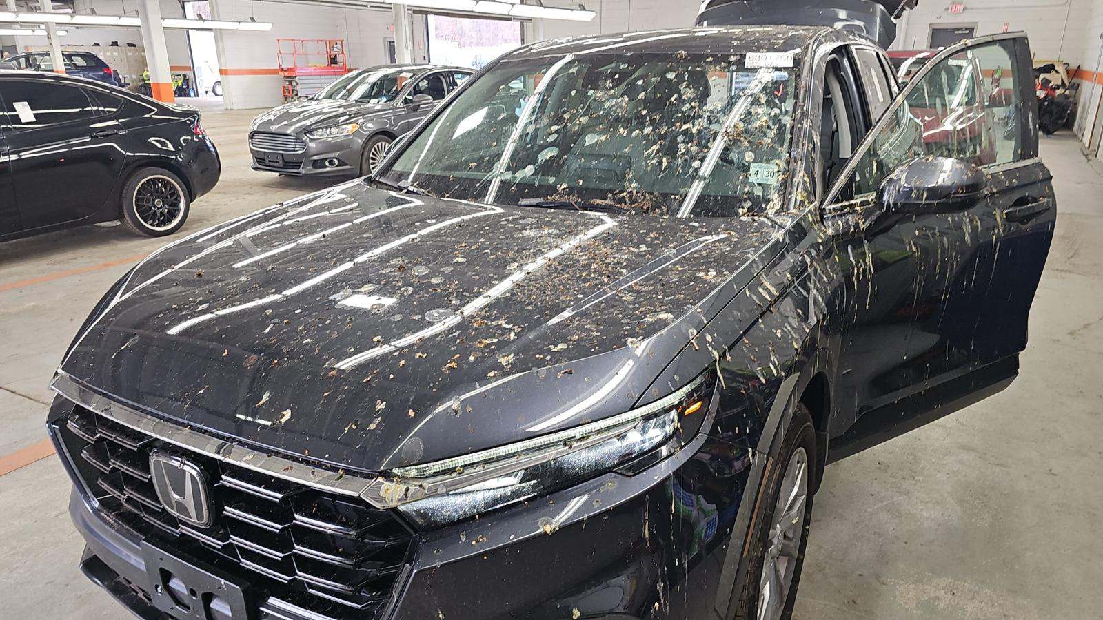 2025 Honda CR-V EX-L AWD