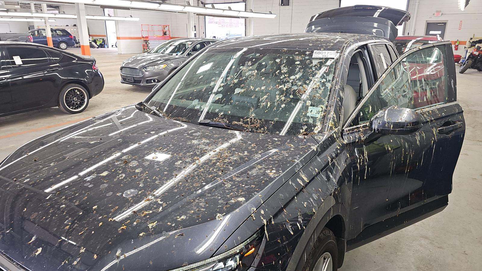 2025 Honda CR-V EX-L AWD