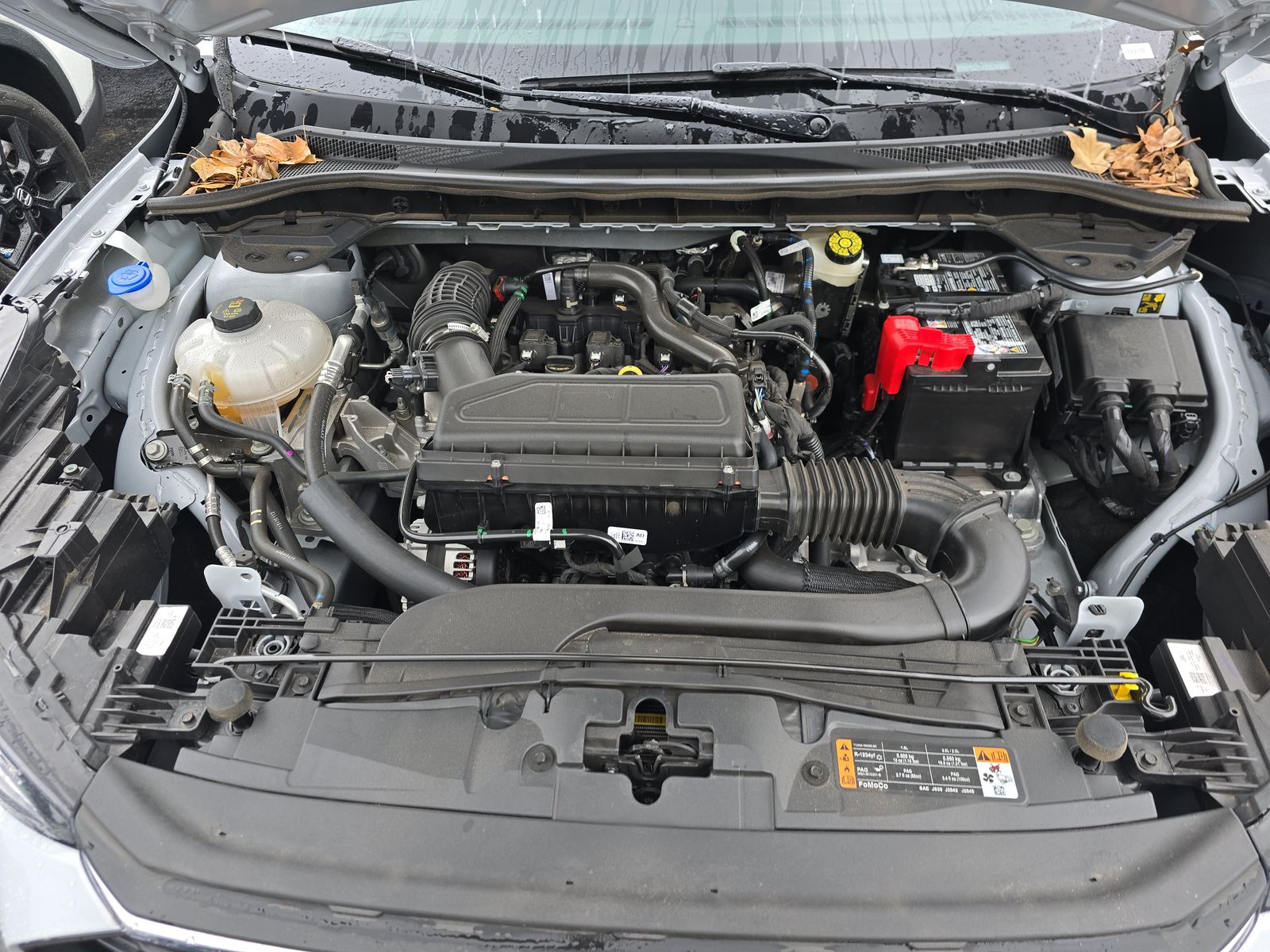 2025 Ford Escape ST-Line FWD