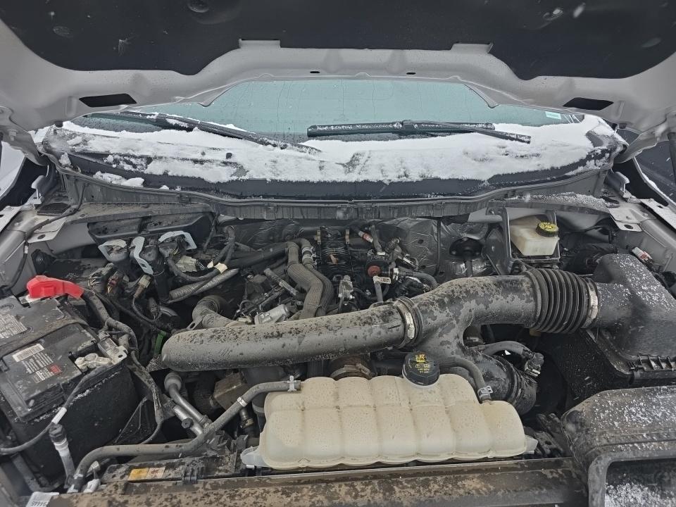 2024 Ford F-150 XLT AWD