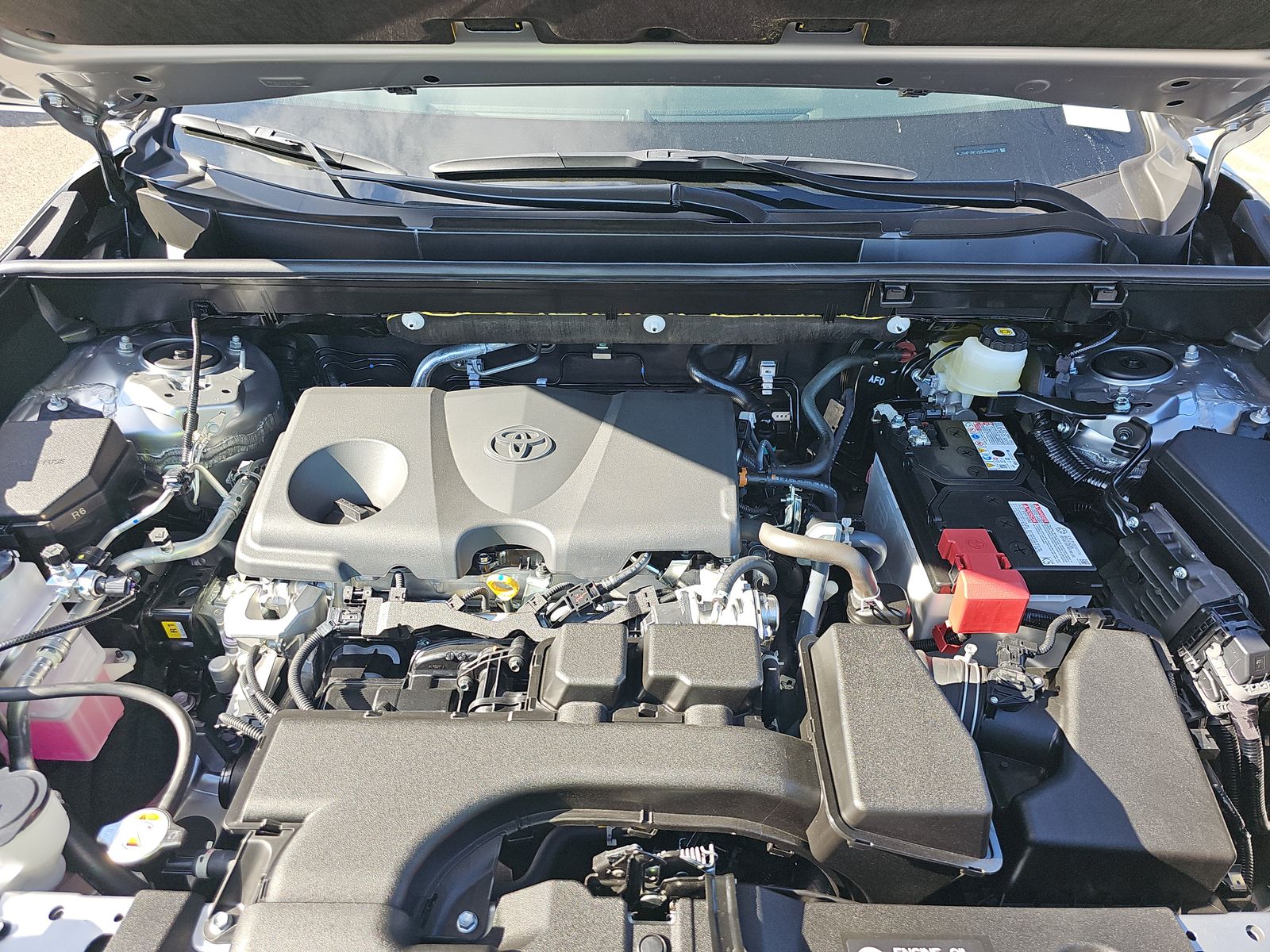 2025 Toyota RAV4 XLE AWD