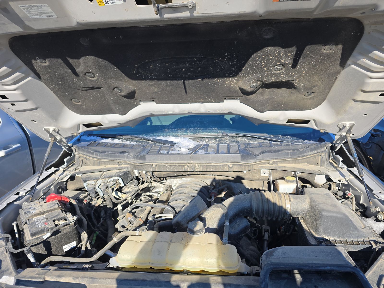 2024 Ford F-150 XLT AWD