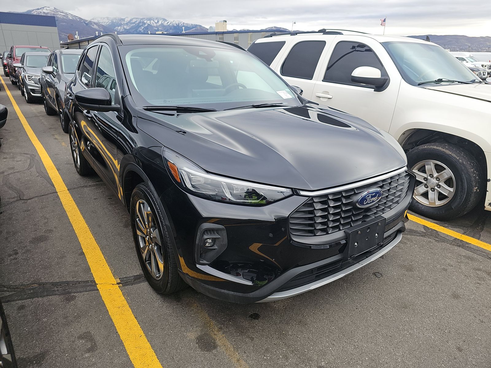 2025 Ford Escape Platinum AWD