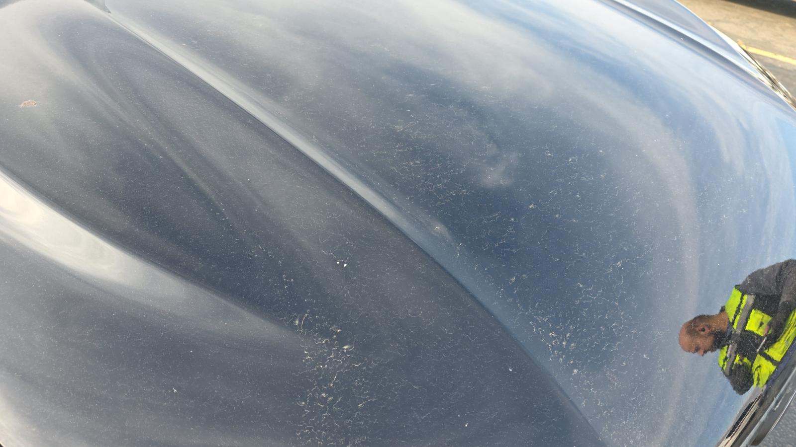 2025 Ford Escape Platinum AWD