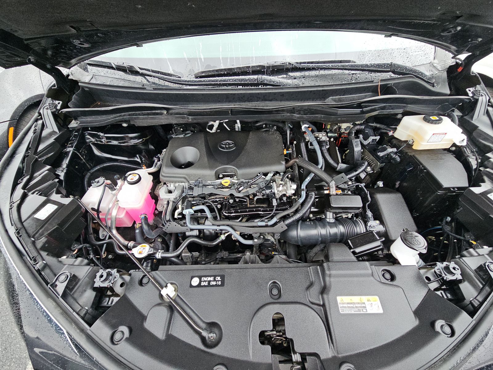 2024 Toyota Sienna LE FWD