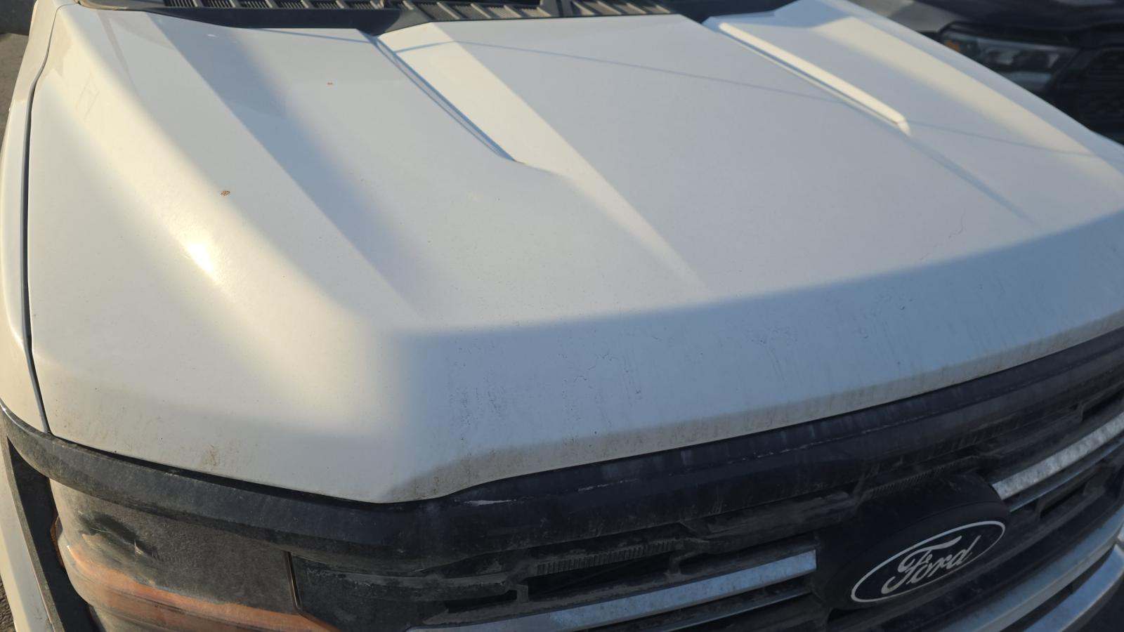 2024 Ford F-150 XLT AWD