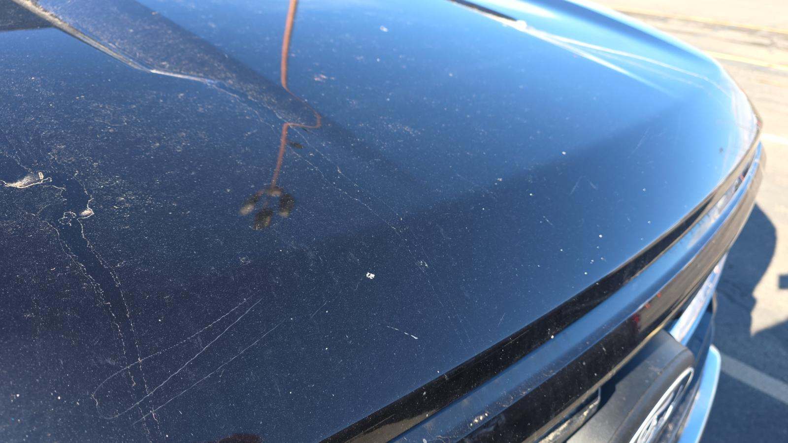 2024 Ford F-150 XLT AWD