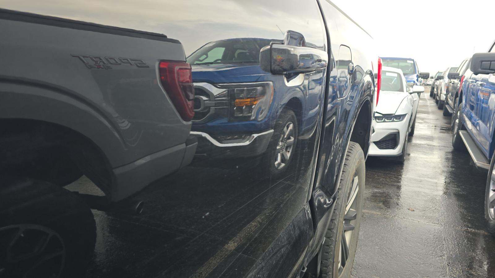 2023 Ford F-150 XLT AWD