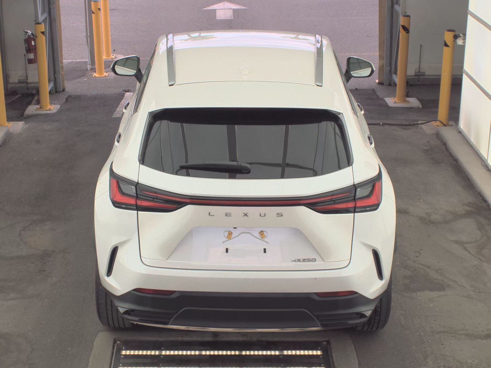 2024 Lexus NX NX 250 FWD