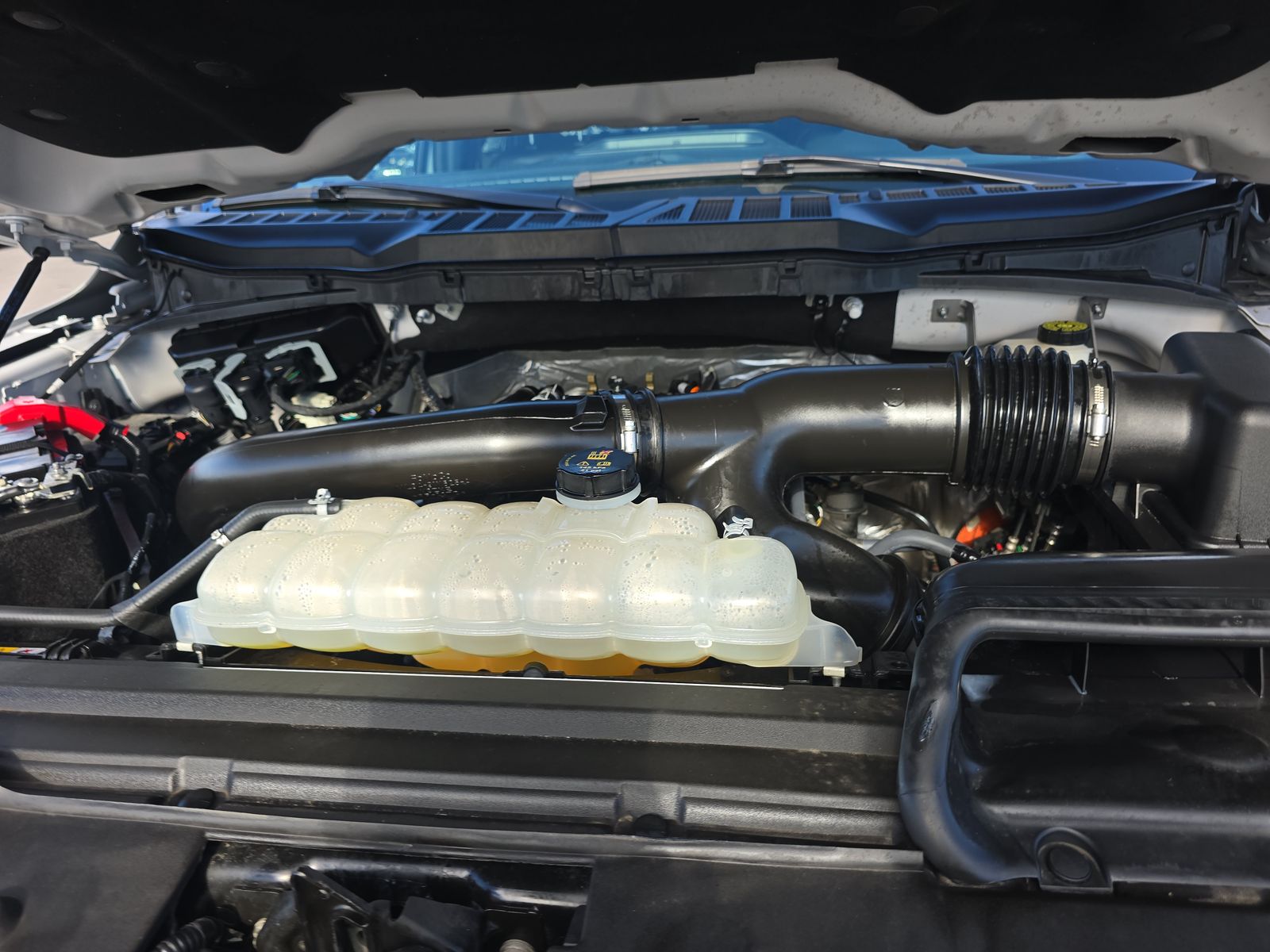 2024 Ford F-150 XLT AWD