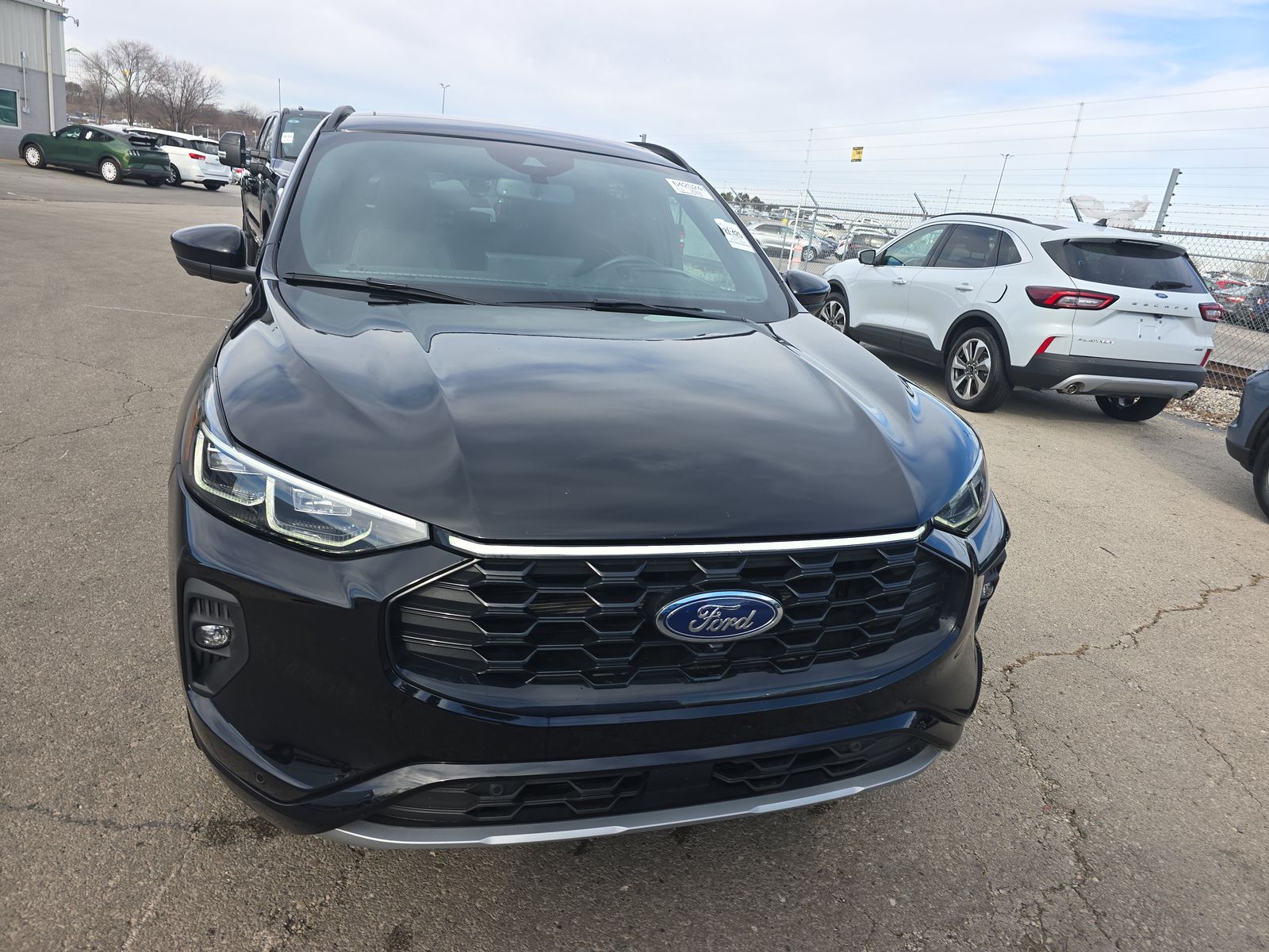 2025 Ford Escape Hybrid ST-Line Elite AWD