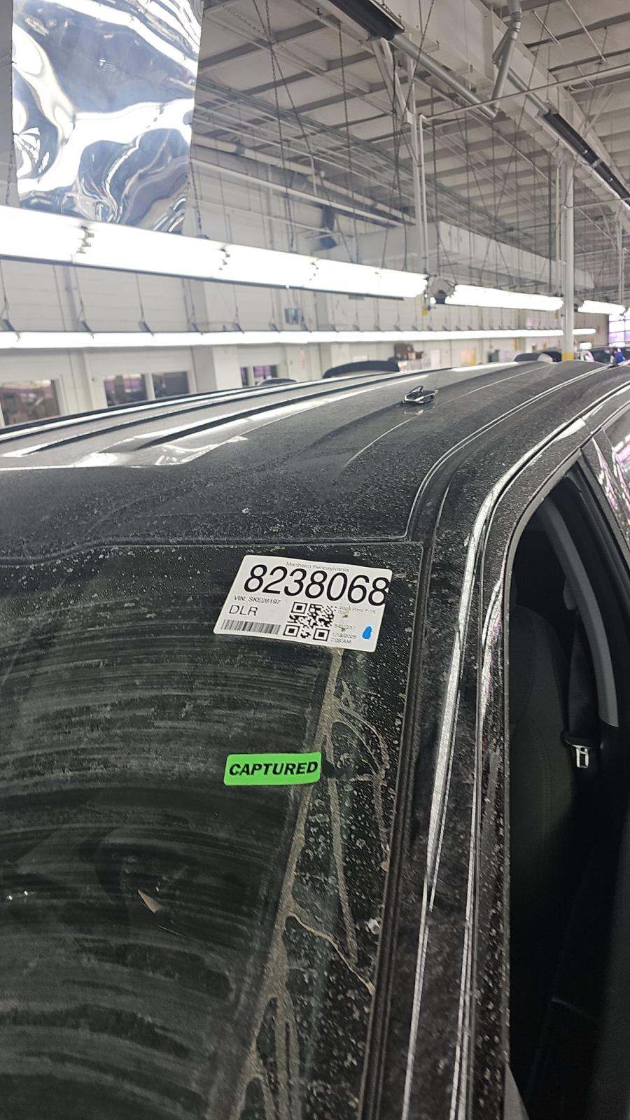 2025 Ford F-150 XLT AWD