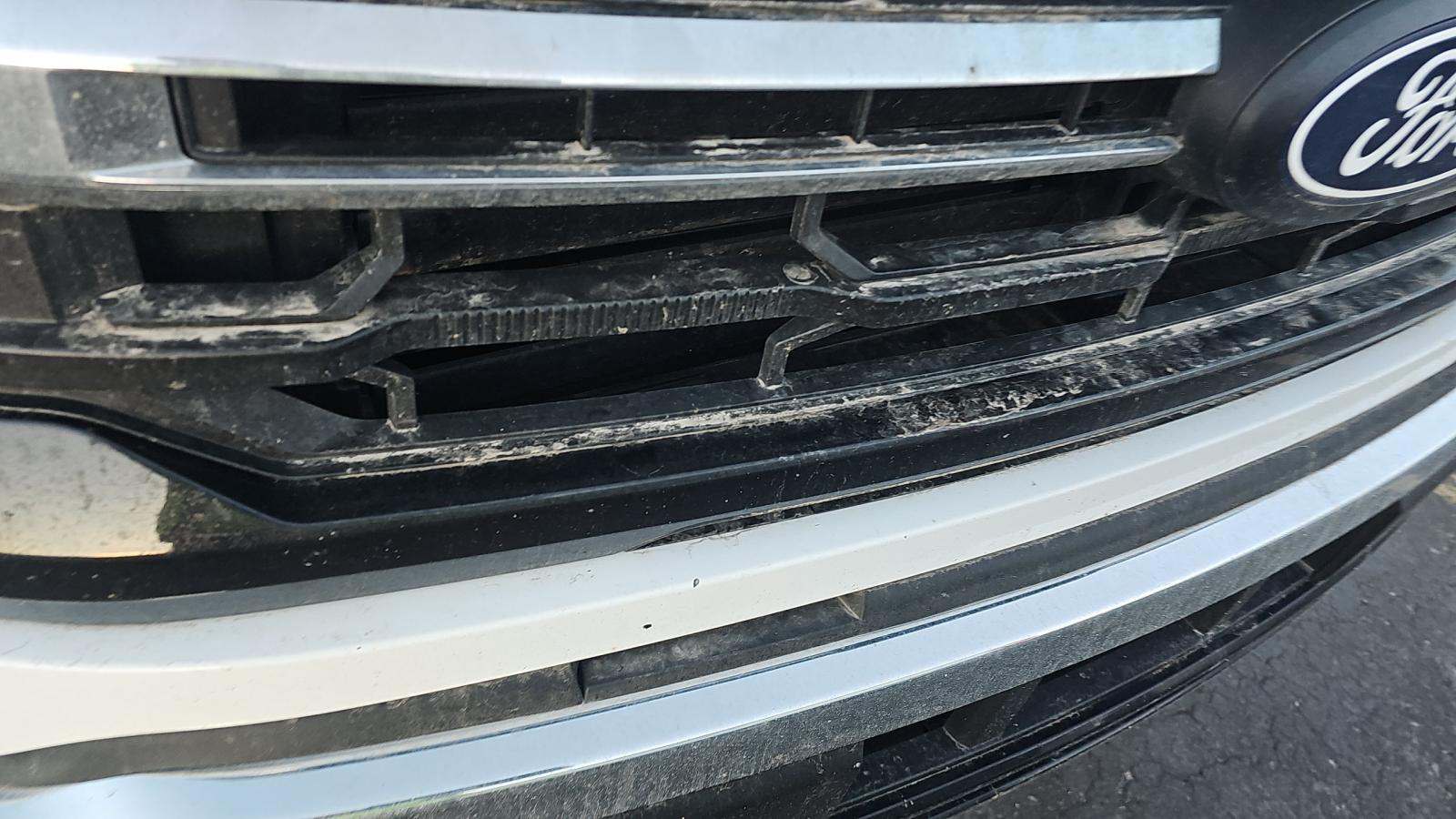 2024 Ford F-150 XLT AWD