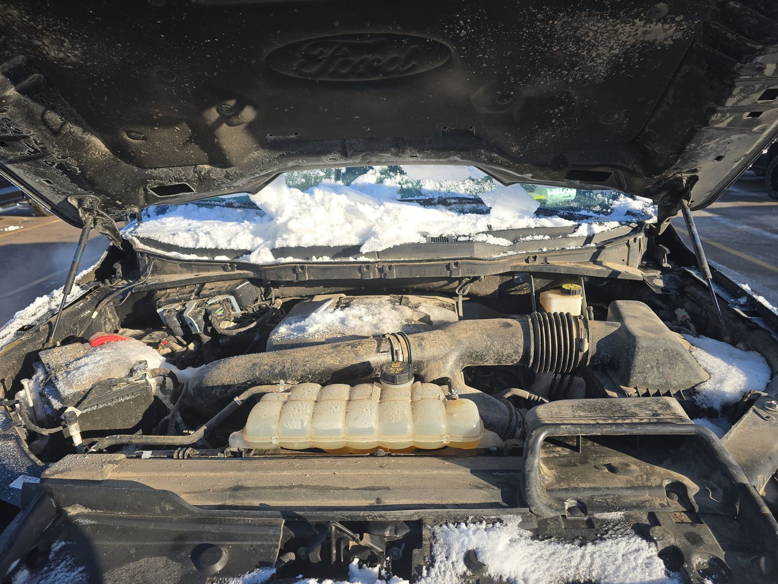 2023 Ford F-150 XLT AWD