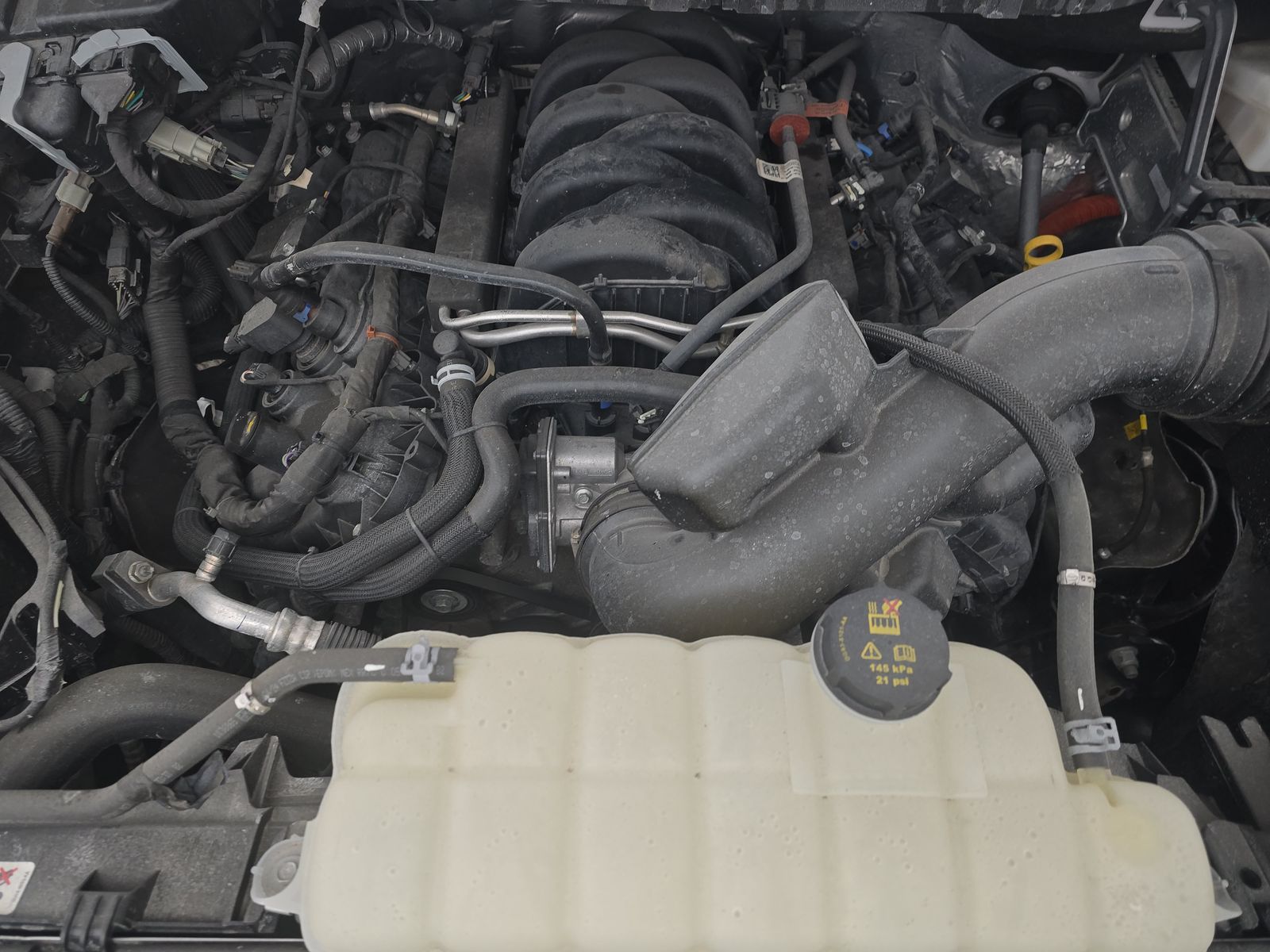 2024 Ford F-150 XLT AWD