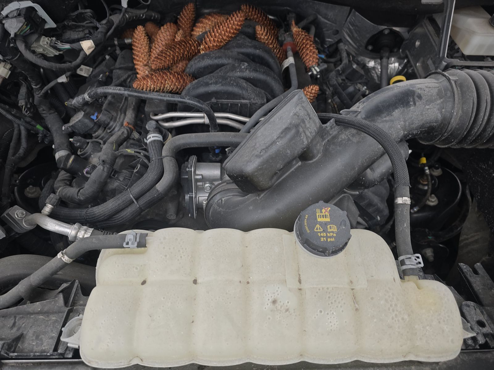 2024 Ford F-150 XLT AWD