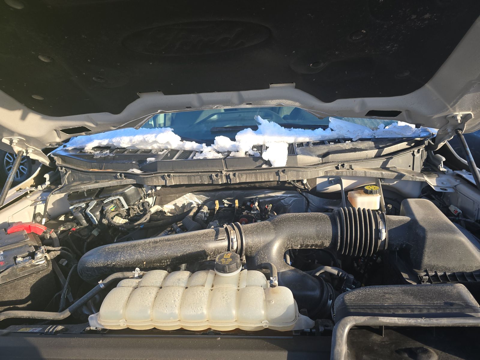 2024 Ford F-150 XLT AWD