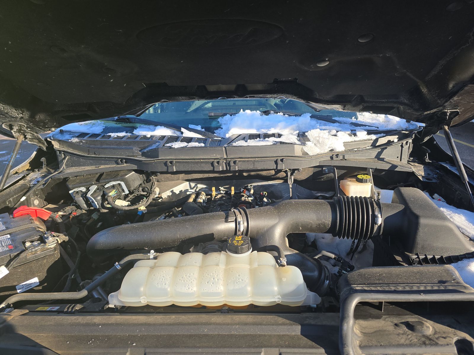 2024 Ford F-150 XLT AWD