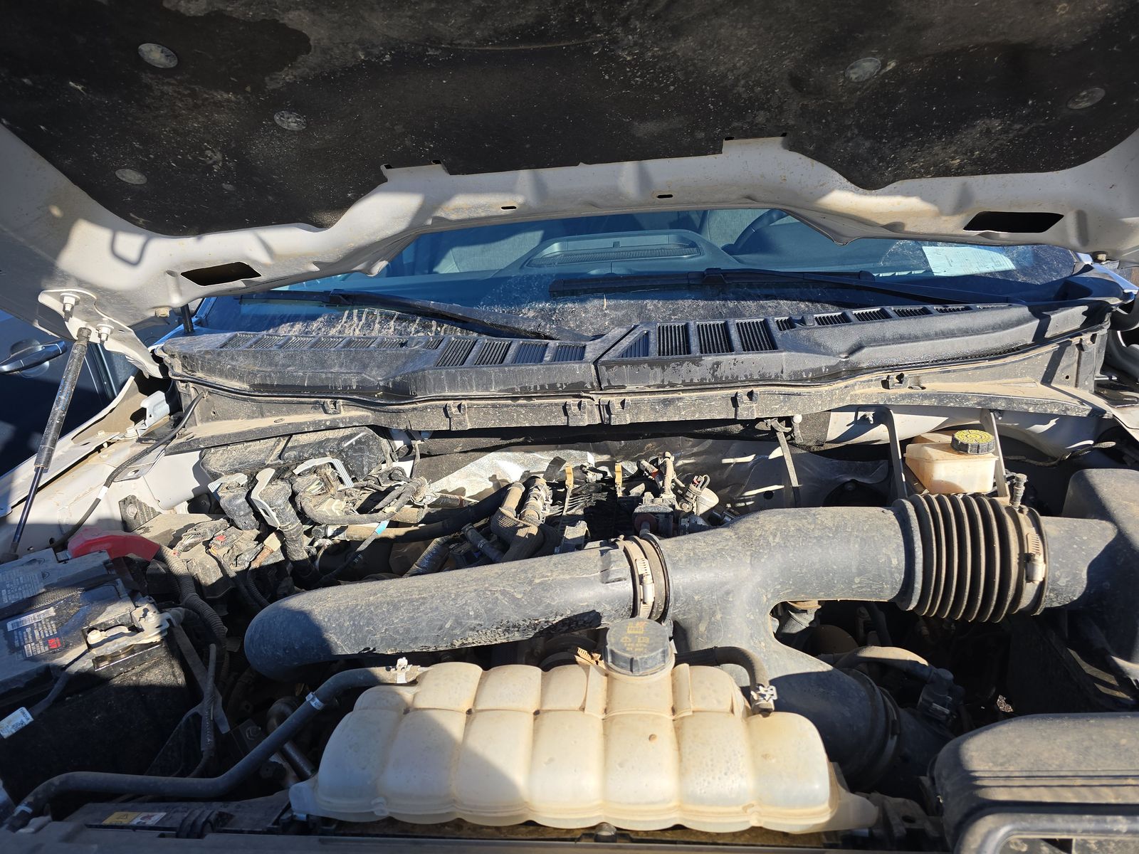 2024 Ford F-150 XLT AWD