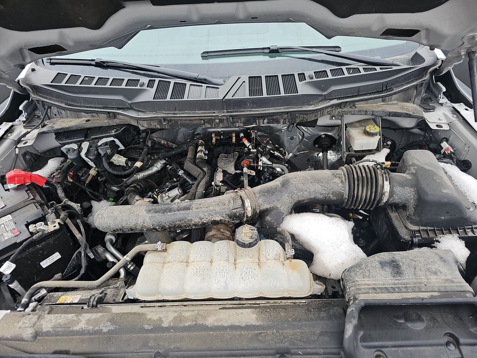 2024 Ford F-150 XLT AWD