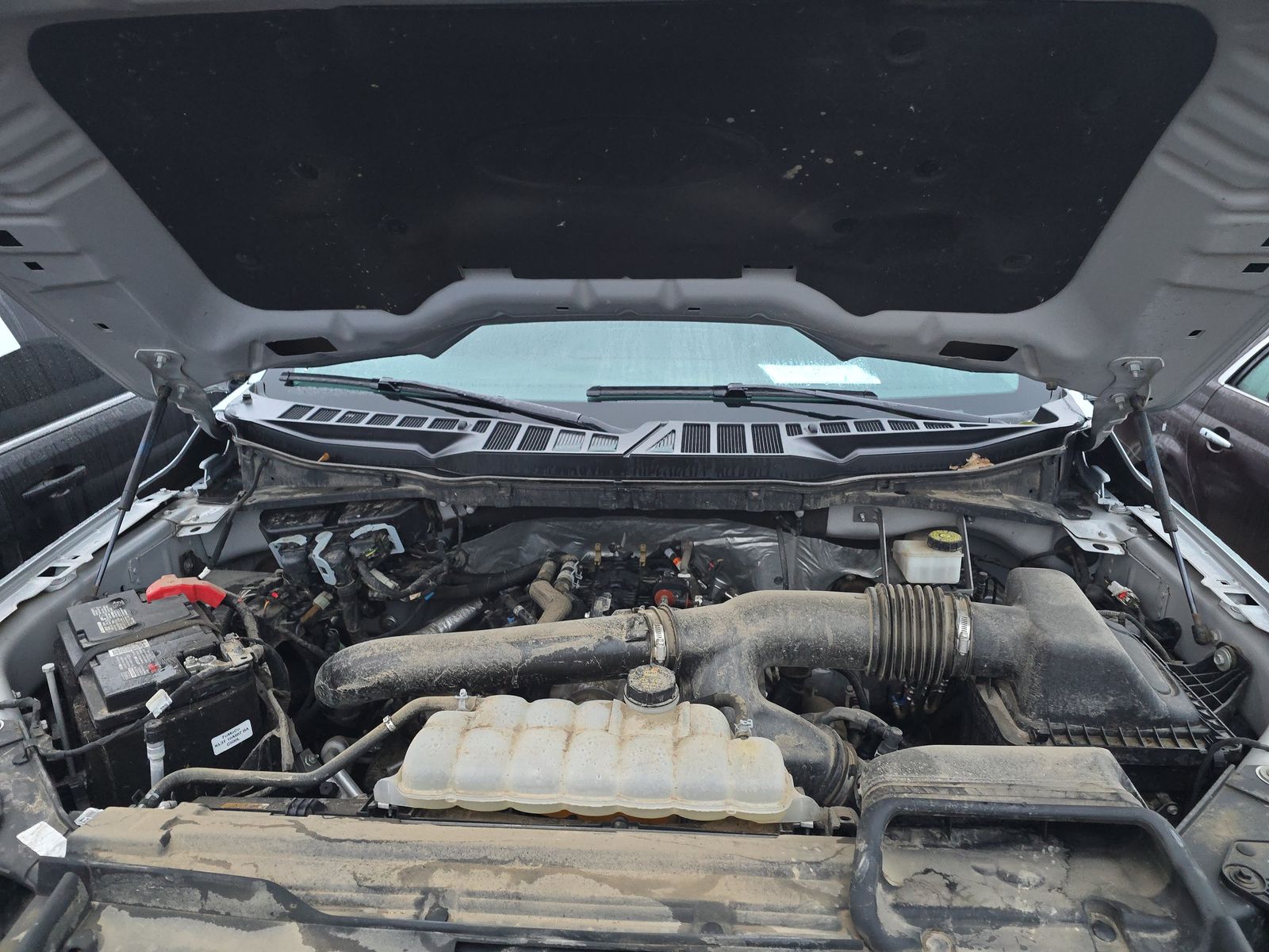 2024 Ford F-150 XLT AWD