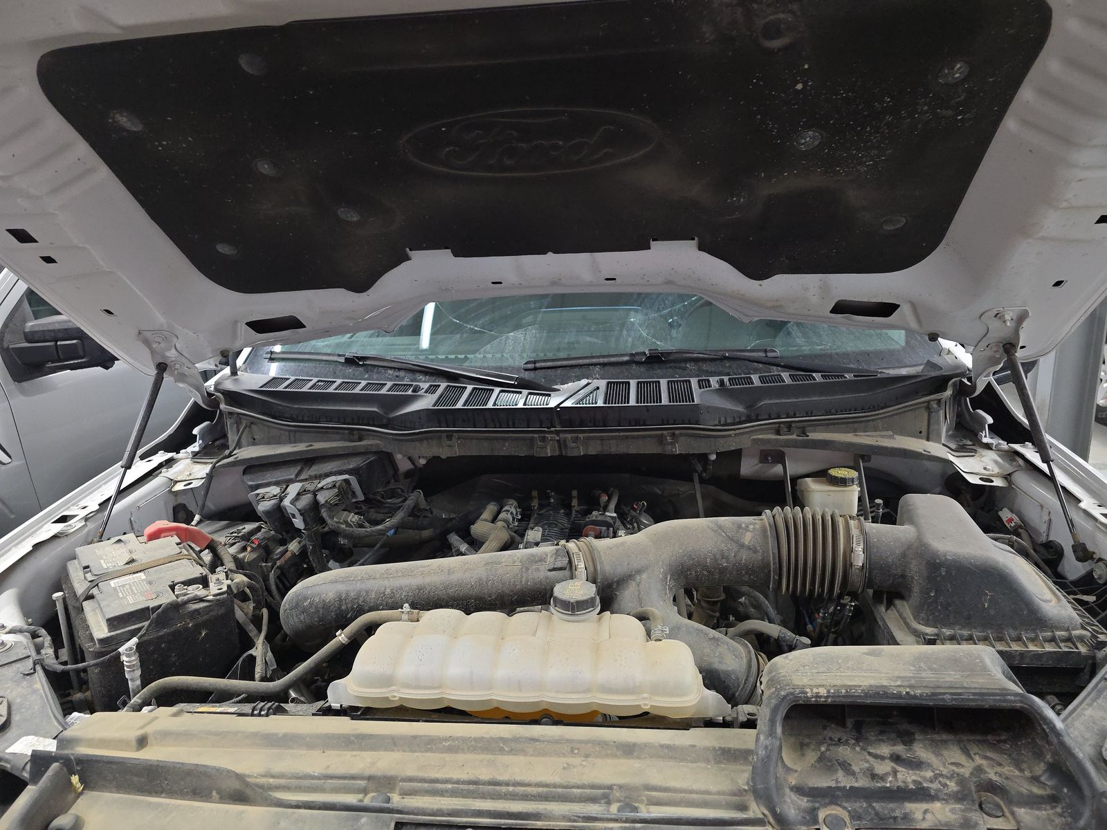 2024 Ford F-150 XLT AWD