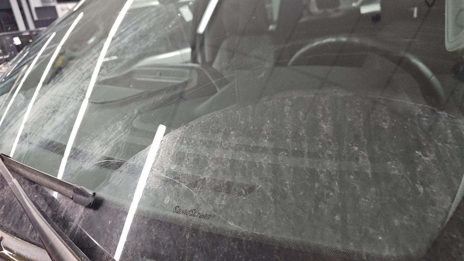 2024 Ford F-150 XLT AWD