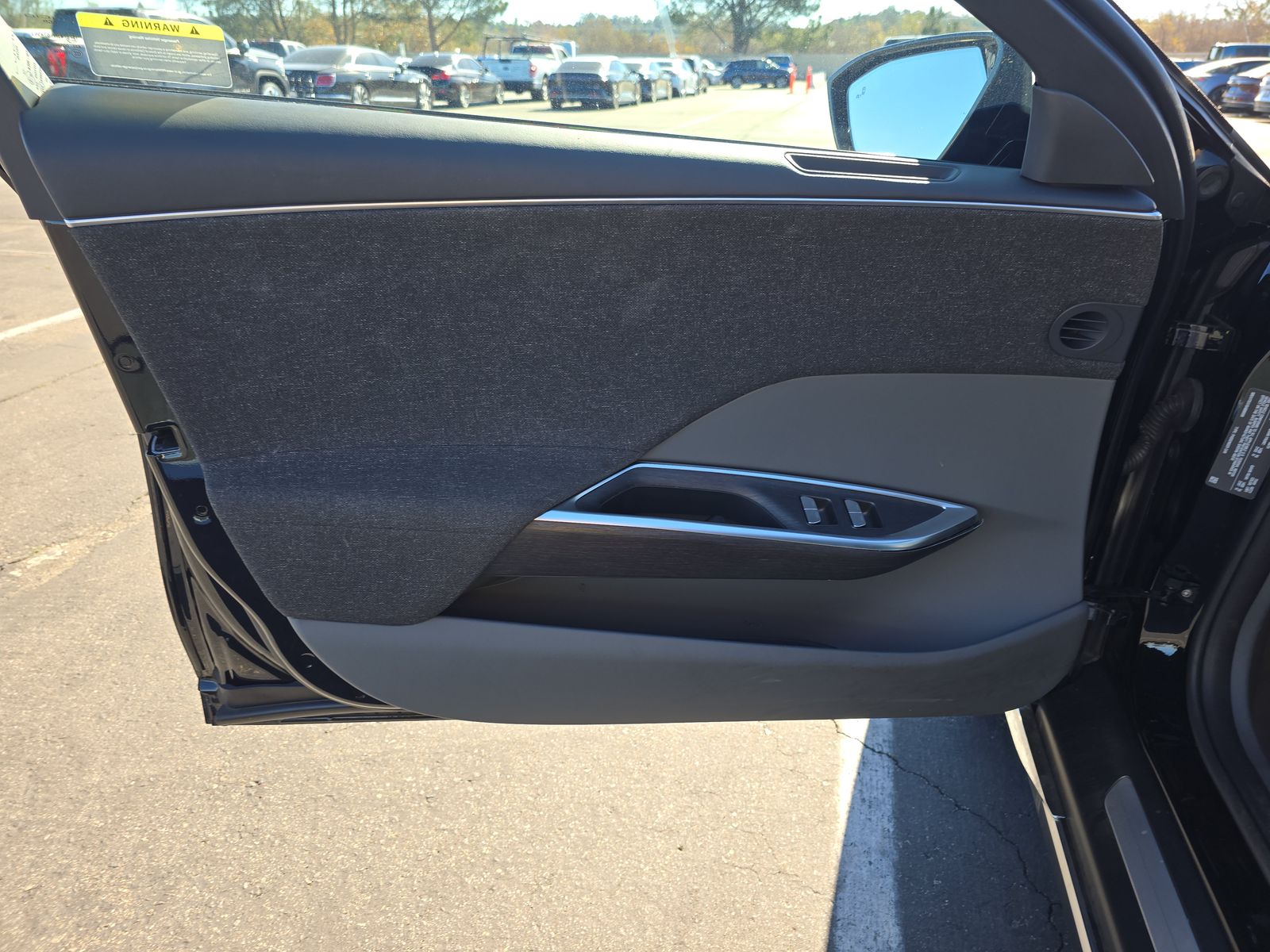 Driver Door Panel