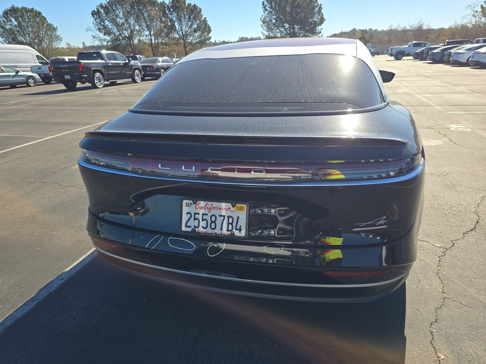 Rear