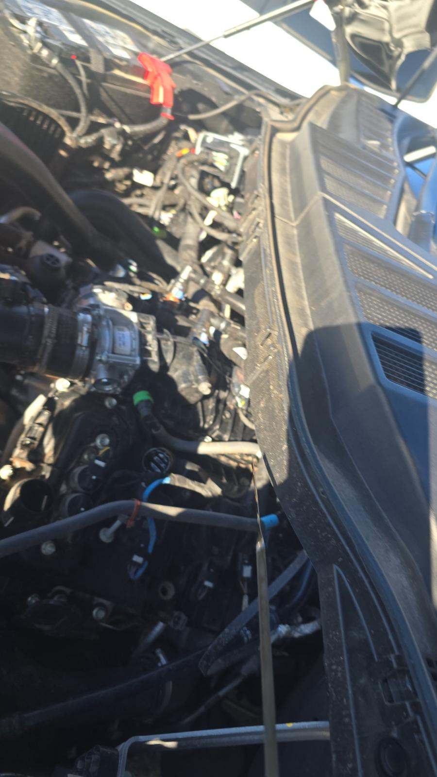 2025 Ford F-150 XLT AWD