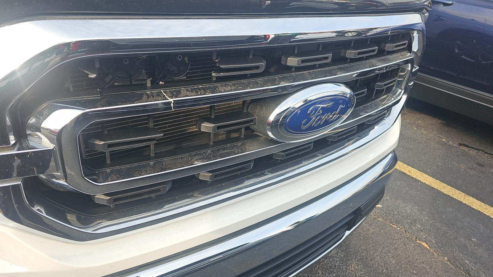 2023 Ford F-150 XLT RWD