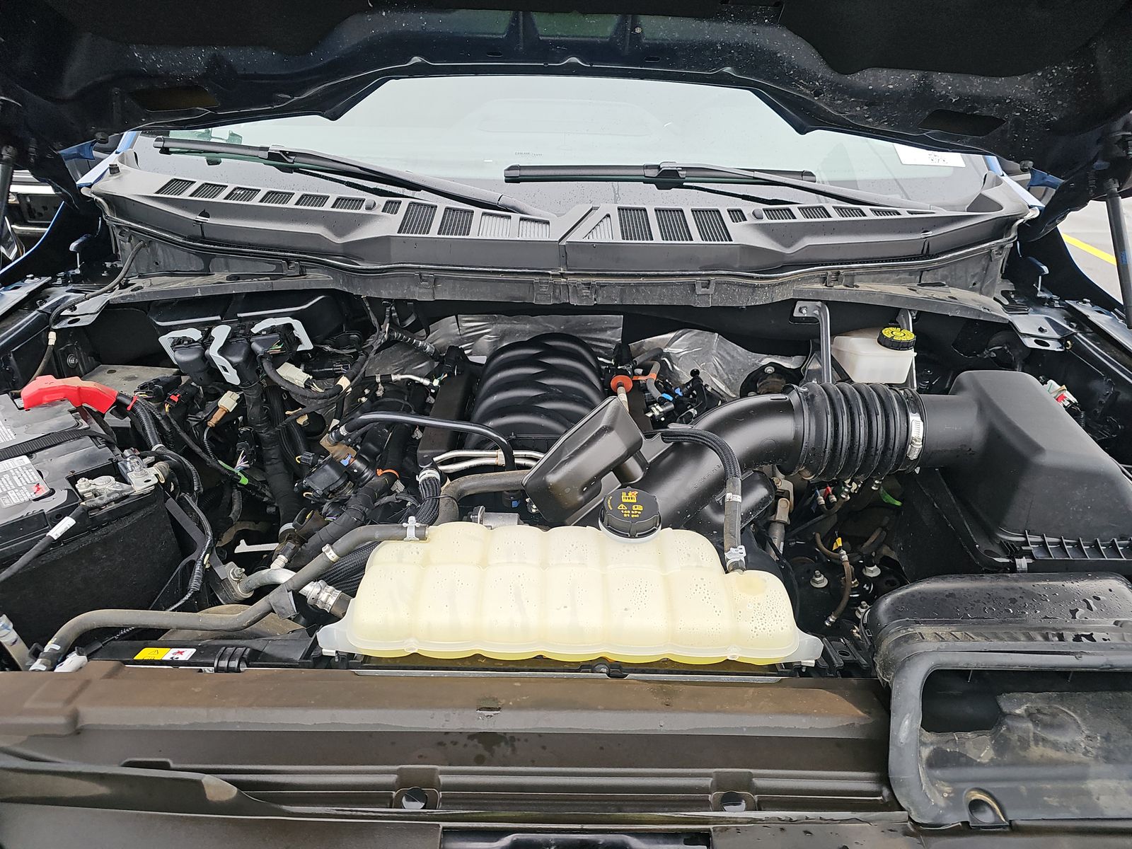 2024 Ford F-150 XLT AWD